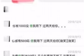 东莞为什么选择专业追讨公司来处理您的债务纠纷？